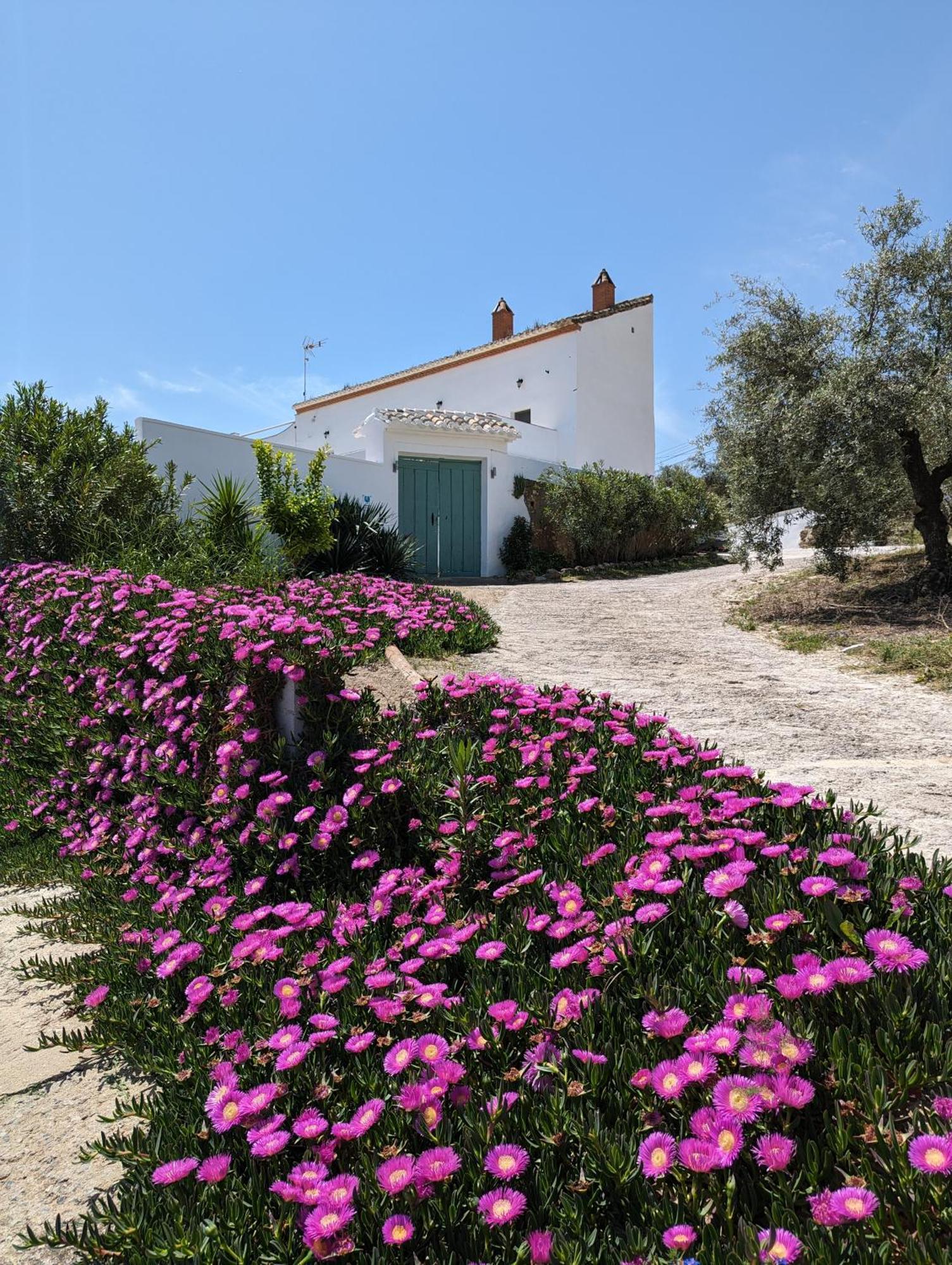 Casa Las Majadillas Iznajar Exterior photo